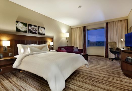 힐튼 가든 인 콘야