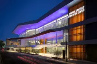 Hilton Palacio del Rio Hotels near San Antonio Stinson Apt