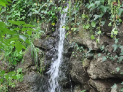 Paradise is Real at Vale Martinho Zen ヴィミエイロのホテル