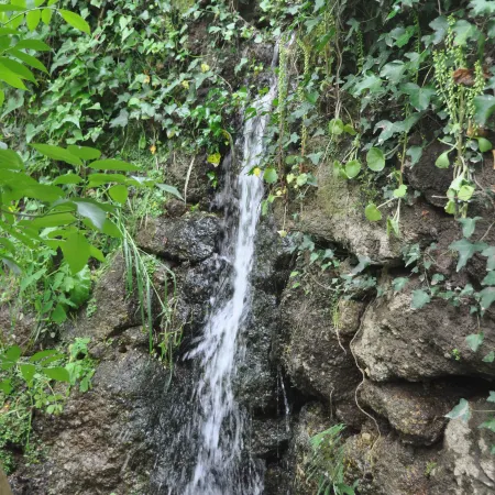 Paradise is Real at Vale Martinho Zen
