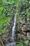 Paradise is Real at Vale Martinho Zen