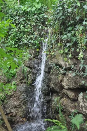 Paradise is Real at Vale Martinho Zen