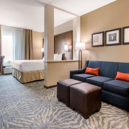 Comfort Suites - South Austin