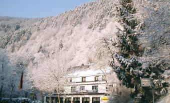 Hotel Wiedfriede