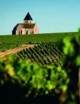 Le P'Tit Louis Hotels in Saint-Cyr-les-Colons