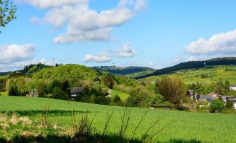 Landhotel Henkenhof Willingen