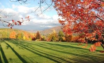 a green field with trees in autumn colors , casting long shadows on the grass beneath the trees at Christman's Windham House