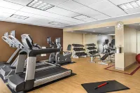 Sheraton Toronto Airport Hotel & Conference Centre - Træningscentre