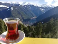 YEŞİL KÖŞK Otel Hotels in Taşkıran