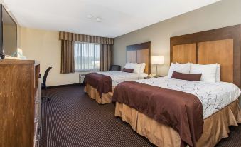 Best Western Plus Holland Inn  Suites