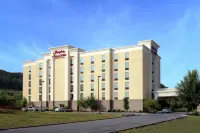 Hampton Inn & Suites Adairsville-Calhoun Area فنادق في Adairsville