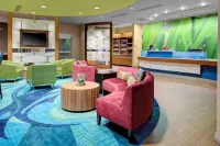 SpringHill Suites Augusta Hotels in Augusta