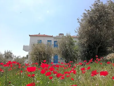 Apartments Jota Отели в г. Самос