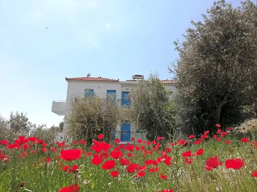 Apartments Jota Hotels in Samos
