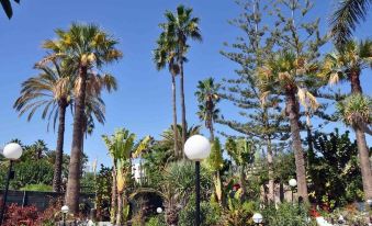 San Valentín & Terraflor Park