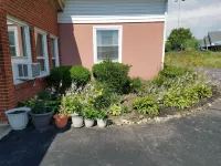 Dollar Inn