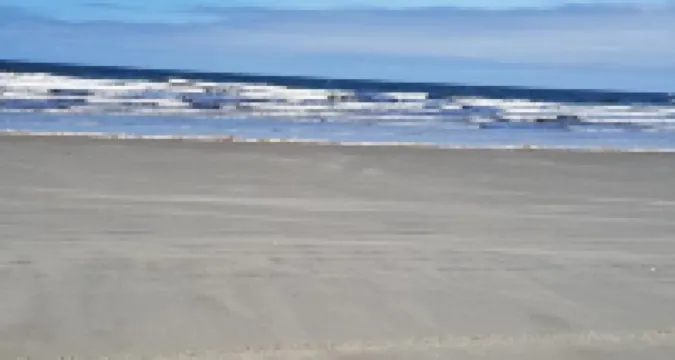 絨杜父汽車旅館