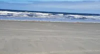 Sea Raven Motel