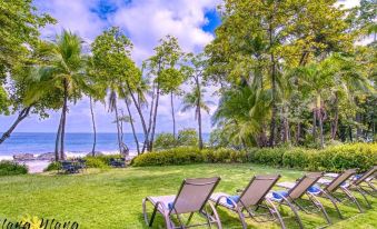 a serene outdoor setting with lush greenery , clear blue skies , and a view of the ocean from a terrace where several lounge chairs are arranged for at Ylang Ylang Beach Resort