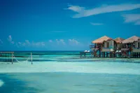 Palafitos Overwater Bungalows, Catamarán, Cenote & More Inclusive Hotels near Hacienda Tres Rios Resort, Spa, & Nature Park