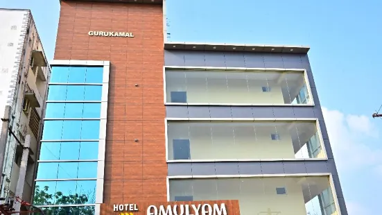 Hotel Amulyam Residency