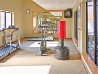 Holiday Inn Express WINFIELD - TEAYS VALLEY by IHG - Gym