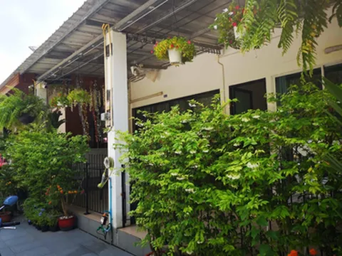 รูปภาพของSamed Your House