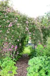 The Vine B & B Hotels in Spilsby