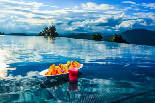 Simpson's Forest Hotel