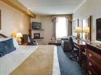 Monte Carlo Inn Airport Suites Hotels near Apollo Convention Centre