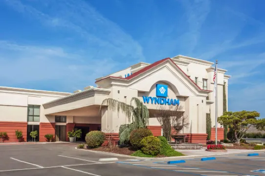 윈덤 비세일리아