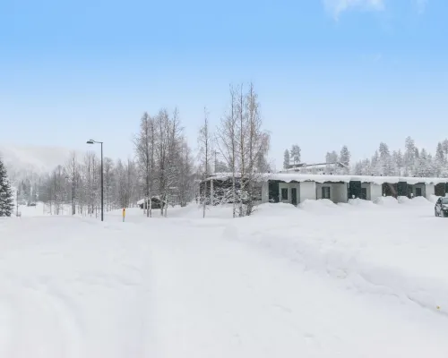 Skivillas Paljakka 32mh) Hotels in Kehys-Kainuu