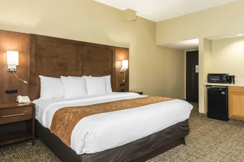 Comfort Suites Baymeadows Near Butler Blvd - sarapan