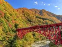 New Takenoya Ryokan Hotels in Omachi