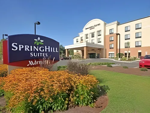 SpringHill Suites Charleston North/Ashley Phosphate