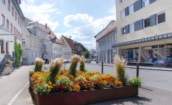 Hotel Gasthof Lang