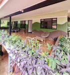 Casa Pura Vida Surf Hostel - Tamarindo Costa Rica Отели в г. 