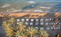 Zeus Hotels Palm Beach - Ocean View