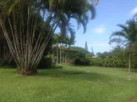 Special quiet, romantic, cozy home in a special place, Heavenly Hana. Lucky you!
