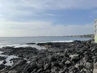 Ocean front property! Cozy, 2nd floor condo, serene garden view