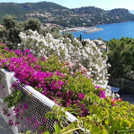 Villa with superb sea view , 6 people,  close to CANNES and SAINT TROPEZ