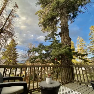 Charming& Cozy Cabin walking distance to downtown and trails