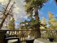 Charming& Cozy Cabin walking distance to downtown and trails