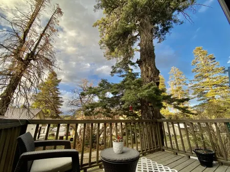 Charming& Cozy Cabin walking distance to downtown and trails Отели в г. Клаудкрофт