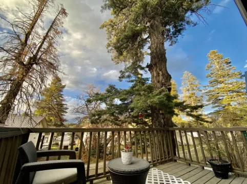 Charming& Cozy Cabin walking distance to downtown and trails