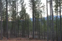 Cabins at the Gap  The Getaway Cabin  1 Bedroom 1 Bath loft Hotels in Cooper Gap