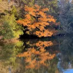 Historic  GrandHotelFishCamp.com  Cottage on Fish River in Fairhope, AL