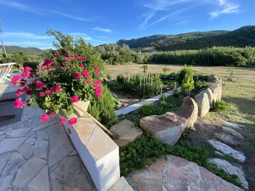 Cottage in Sardinia, near the Sea, recreation and relax on 5000 sq.m