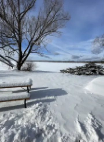 Loon Cabin at Pelican Lake