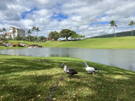 Oasis Awaits Отели рядом с достопримечательностью «Парадайс Ков Паблик Бич»